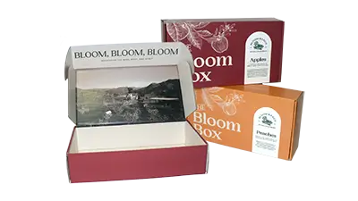 Bloom Box